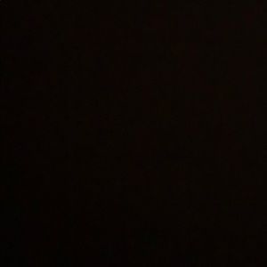 Meet your Posher, Molly